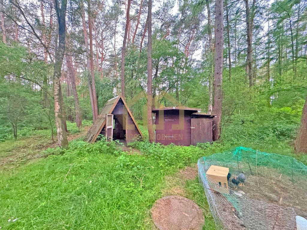 Immobilie in Wildeshausen - 6.503 m² Naturparadies an der Hunte – Wochenendhaus in traumhafter Waldlage - Bild 4
