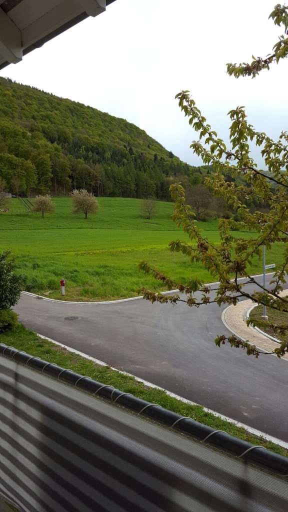 Immobilie in Klettgau - Gepflegte 2-Zimmer-Wohnung mit Balkon und Blick ins Grüne - Bild 2