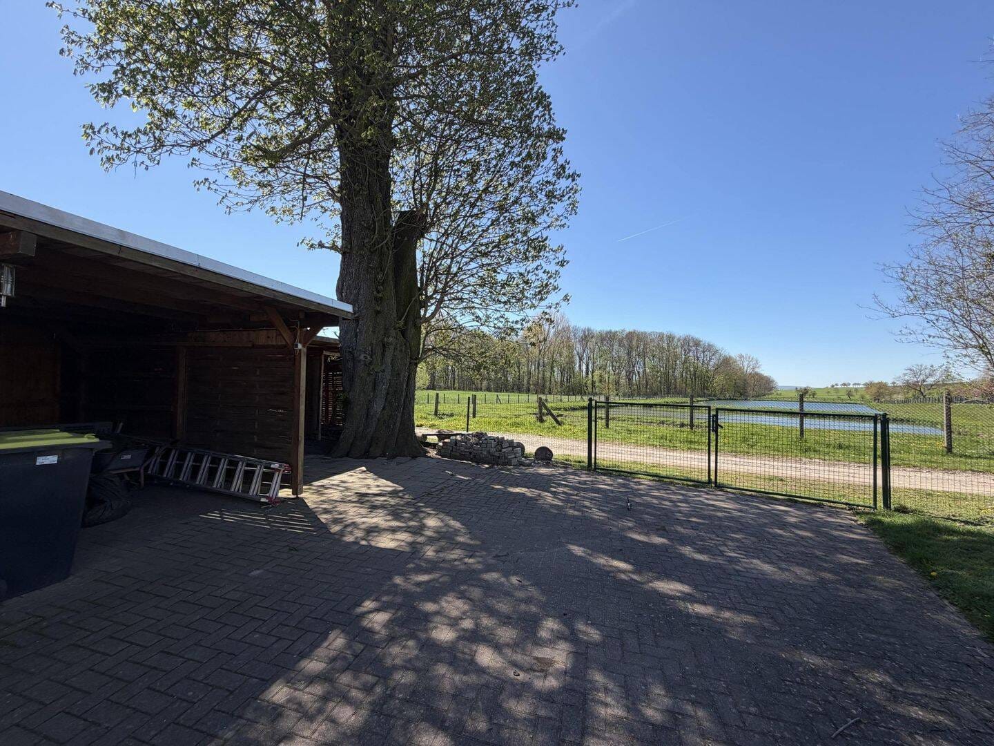 Immobilie in Bad Sulza - Platz für die ganze Familie! Tolles Einfamilienhaus im Grünen zwischen Jena und Apolda! - Bild 2