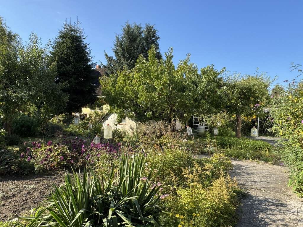 Immobilie in Mesekenhagen - Großzügiges Einfamilienhaus mit Doppelcarport und Obstgarten - Bild 2