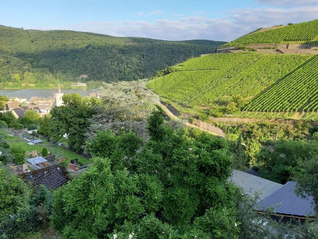 Immobilie in Rüdesheim am Rhein - Traumhafter Blick! Zwei Häuser zum Preis von einem in bester Lage von Rüdesheim-Assmannshausen! - Bild 3
