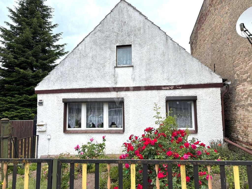 Immobilie in Chorin - Vergangenheit trifft Zukunft - Lehmbauhaus mit Scheune, Nebengelass und großer Wiese in Chorin - Bild 2