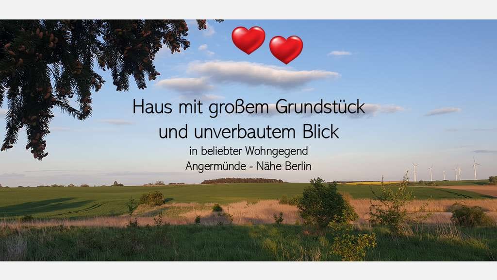 Immobilie in Angermünde - Haus in beliebter Wohngegend mit großem Grundstück & unverbautem Blick in die Natur - Nähe Berlin - Bild 0