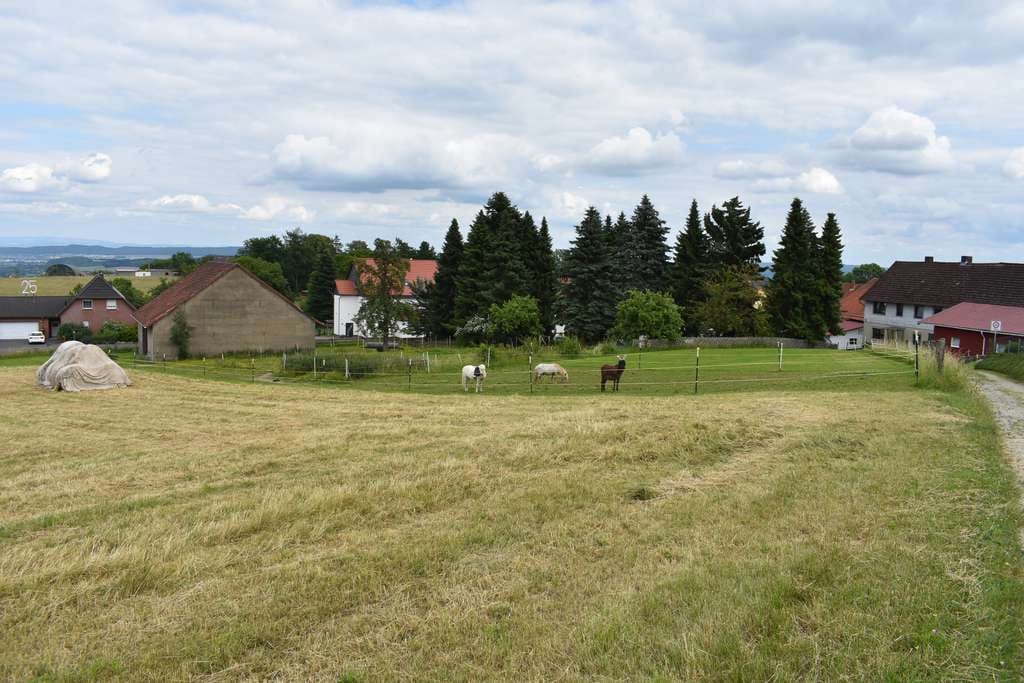 Immobilie in Moringen - Repräsentatives Landhaus mit 1,2ha Weidefläche in sehr ruhiger Lage-Preis VB - Bild 2