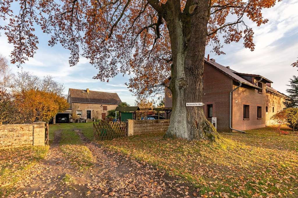 Immobilie in Tauche - Vielseitiges Anwesen mit Einfamilienhaus, Veranstaltungsgebäuden & großem Grundstück in Tauche! - Bild 2