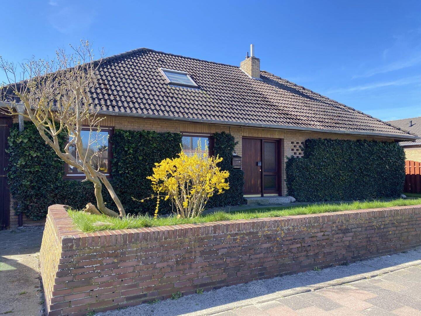 Immobilie in Borkum - Einfamilienhaus im Bungalowstil mit Einliegerwohnung auf großem Grundstück - Bild 0