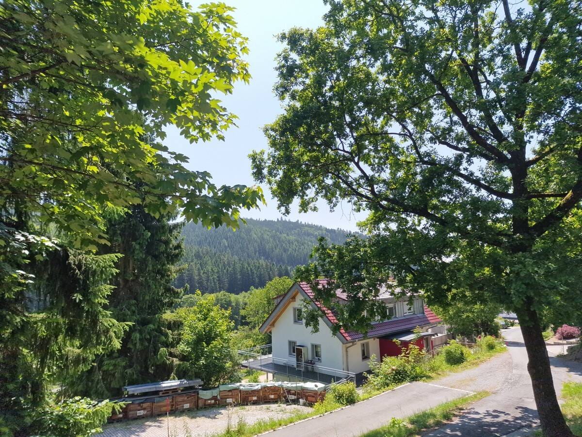 Immobilie in Warmensteinach - Wohnen wie im Urlaub!
Gemütlichkeit für die kleine Familie oder
Ihr Rückzugsort im Fichtelgebirge? - Bild 2
