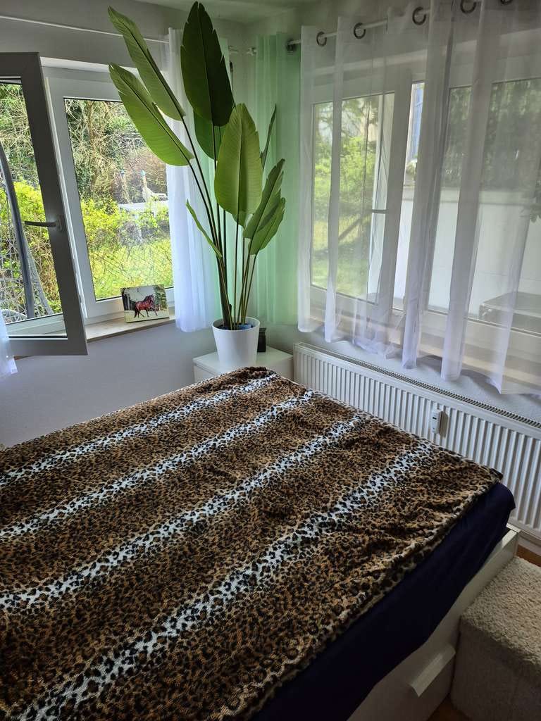 Immobilie in Hemmingen - 1,5 Zimmer Wohnung in Hemmingen mit Terasse und Garten - Bild 3