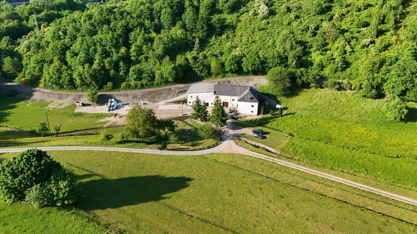 Immobilie in Saarburg - Idyllischer Bauernhof in Alleinlage Ideal für Tierliebhaber - Bild 1