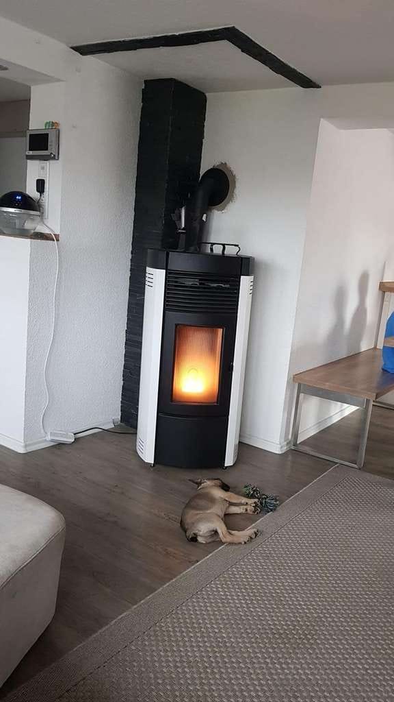 Immobilie in Steinheim am Albuch - Einfamilienhaus mit Gewerbeeinheit und Scheune - Bild 1