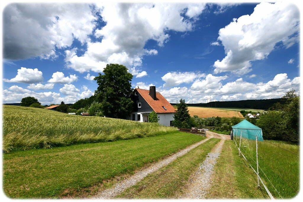 Immobilie in Twistetal - Landsitz in Alleinlage mit Weitblick - ca. 2,1 ha Anwesen in Twistetal! - Bild 0