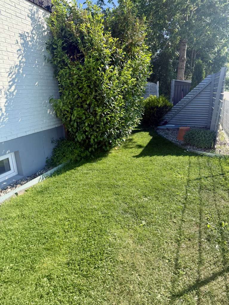 Immobilie in Königsmoos - Modernisiertes Bungalow mit großem Garten (Privatverkauf) - Bild 2
