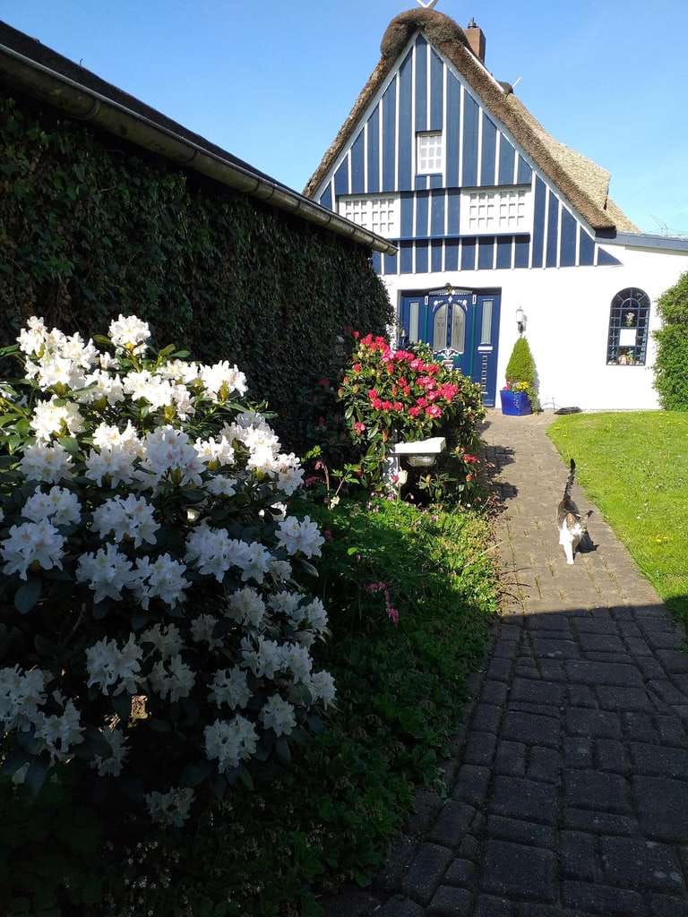 Immobilie in Sankt Margarethen - Urgemütliches Reetdachanwesen aus 1648 - Bild 2
