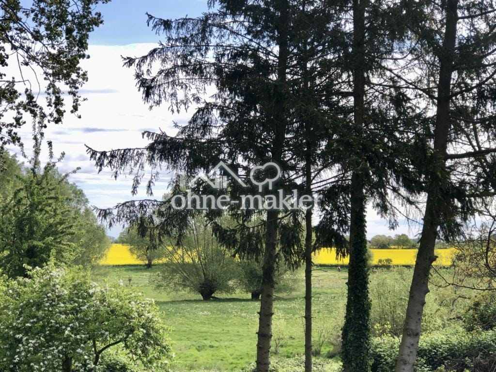 Immobilie in Poseritz - Einfamilienhaus freistehend in Poseritz - Bild 1
