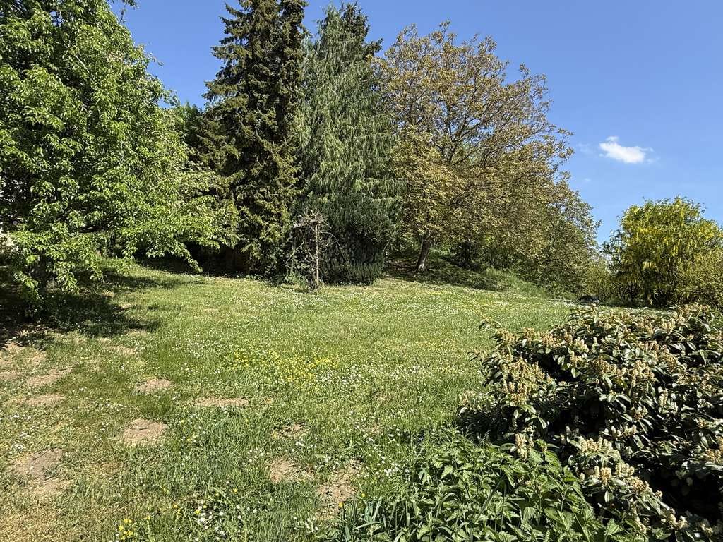 Immobilie in Tengen - Ein Haus mit Charakter und vielen Möglichkeiten - Bild 2