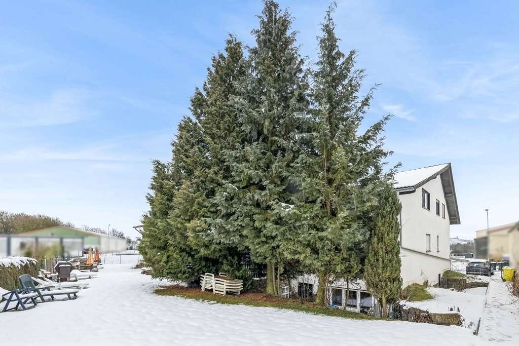 Immobilie in Lich - Helle 3-Zimmer-Wohnung in naturnaher und zentraler Lage - Bild 2