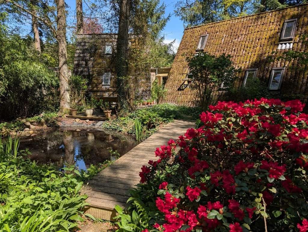 Immobilie in Rheinböllen - Holzhaus mit uneinsehbarem Garten, Sauna und großem Teich in Rheinböllen-Waldsiedlung - Bild 3