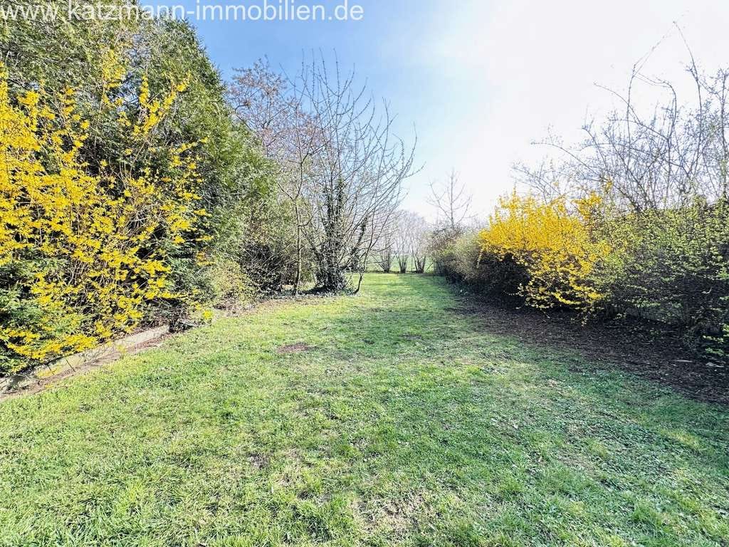 Immobilie in Merzenich - Einfamilienhaus mit großem Garten, Terrasse & Garage in zukünftiger See-Lage zu verkaufen! - Bild 1