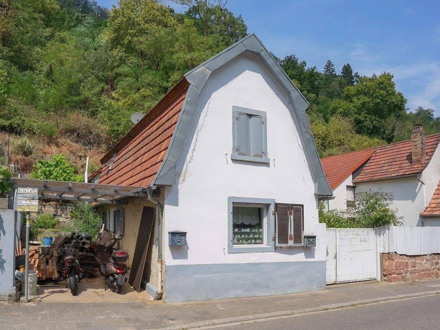 Immobilie in Wachenheim an der Weinstraße - Charmantes Familienhaus mit Terrasse in Wachenheim an der Weinstraße - Bild 1