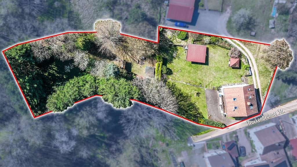 Immobilie in Hilst - Frankreich vor der Tür – Großzügiges Einfamilienhaus mit 2.698m² Traumgrundstück am Waldrand - Bild 2