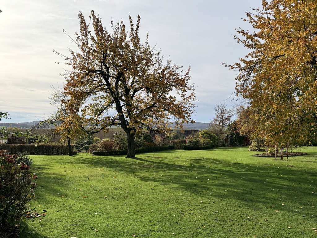 Immobilie in Auetal - individuelles Wohnhaus mit unverbautem Fernblick - Bild 1