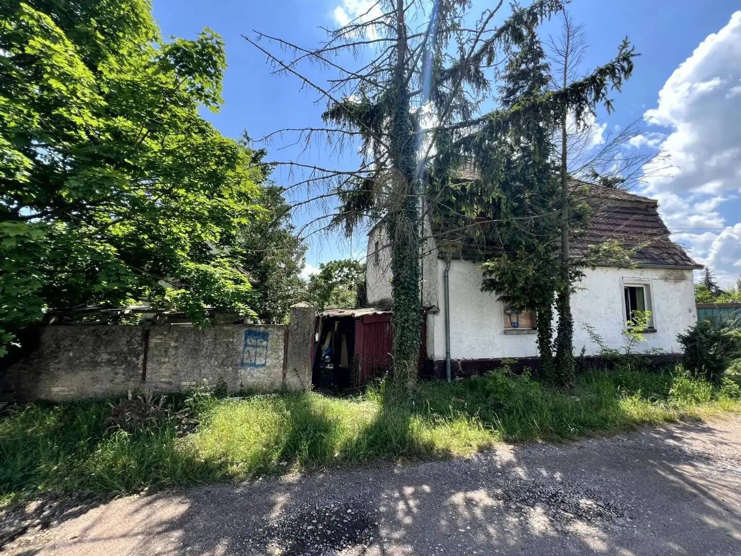 Immobilie in Kabelsketal - Einfamilienhaus am Ortsrand von Dieskau inkl. ca. 600 m² Grundstück - Bild 2