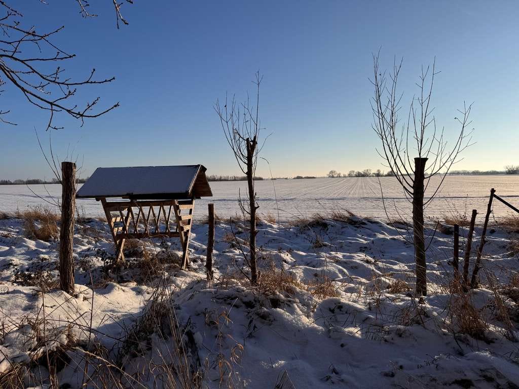 Immobilie in Hohenmocker - Landhaus in Dorfromantik in Hohenmocker - Bild 4