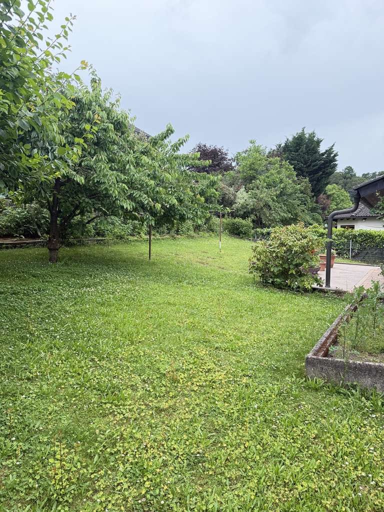 Immobilie in Elztal - Familienfreundliches EFH mit Einlieger, 2 Garagen, sonnigem Garten und überd. Stellplatz – Toplage! - Bild 2