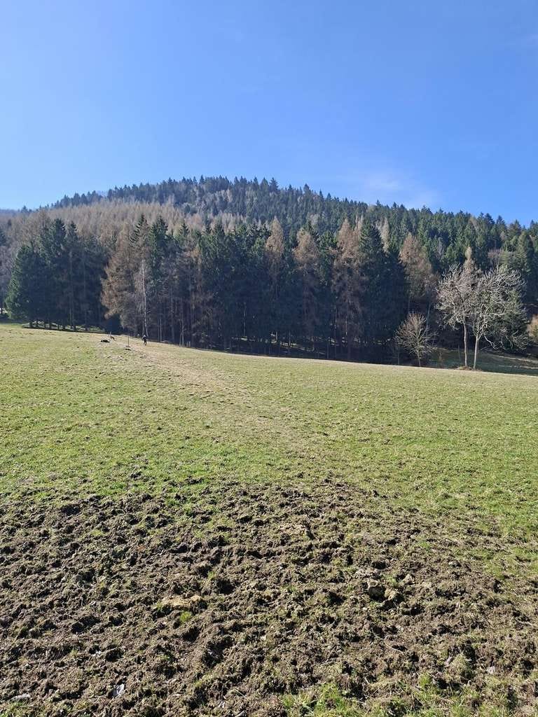 Immobilie in Großschönau - Wohnen wo andere abschalten-Haus mit Blick auf die Lausche in traumhafter Naturlage - Bild 2