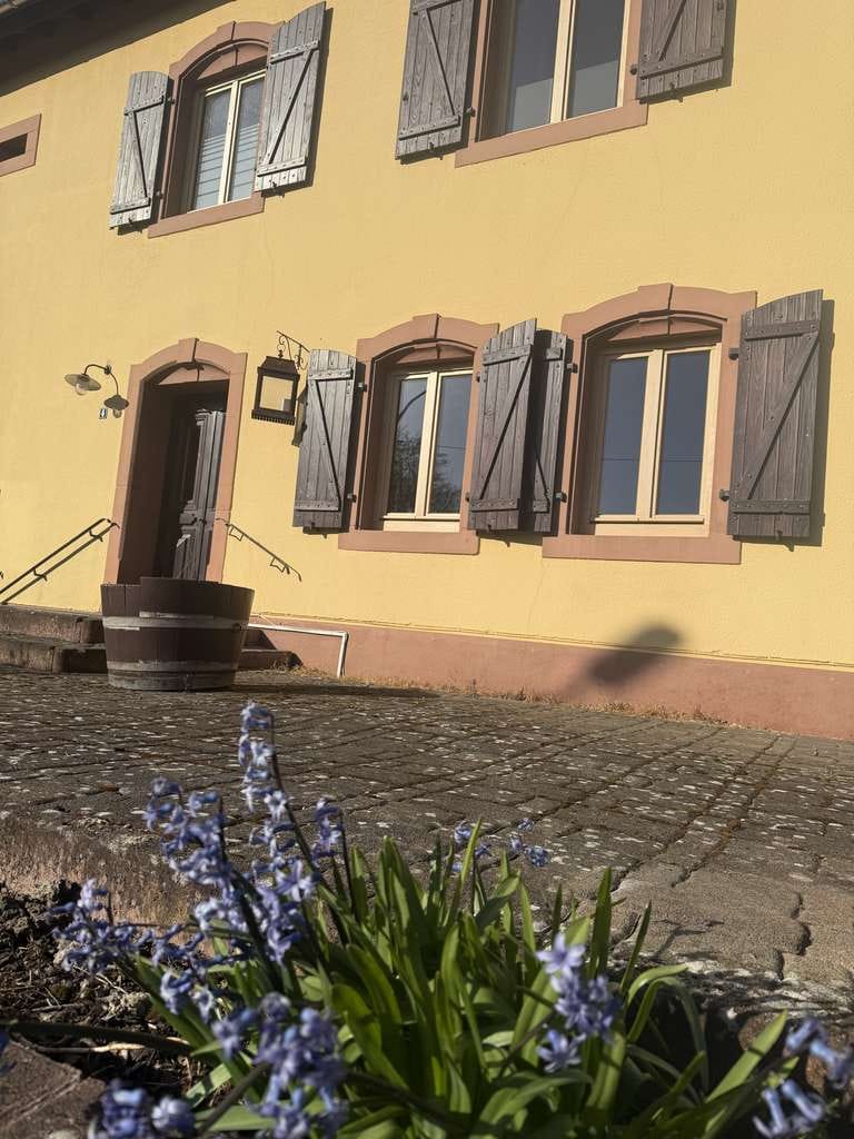 Immobilie in Rehlingen-Siersburg - Lothringer BAUERNHAUS mit Einliegerwohnung in 66780 OBERESCH top Restauriert/Renoviert ELW Niedrige - Bild 3