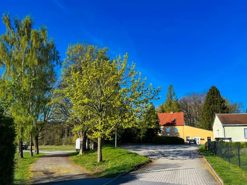 Immobilie in Steinigtwolmsdorf - Viel Platz in ländlicher Idylle! - Bild 1