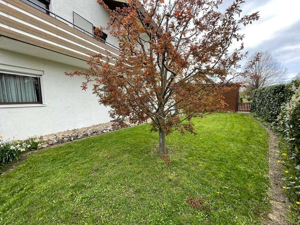 Immobilie in Löchgau - Wohnanlage für Sie zum Kauf - ideal als Mehrgenerationenhaus zur Selbstnutzung - Bild 2
