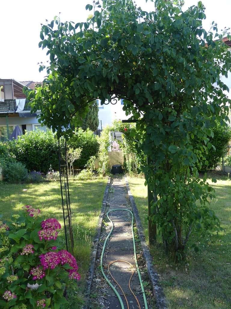 Immobilie in Oftersheim - Idyllisches Haus mit Gartenparadies und diversen Nebengebäuden - Bild 3