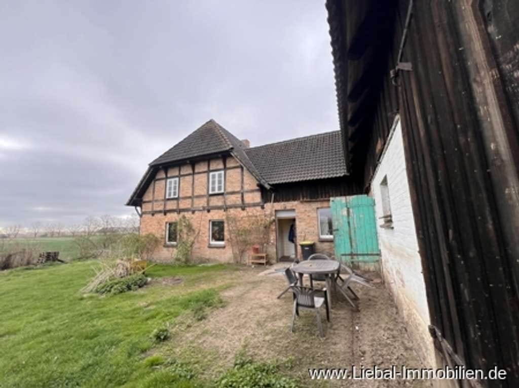 Immobilie in Penzlin - Charmantes Fachwerk-Bauernhaus in idyllischer Alleinlage - Bild 3
