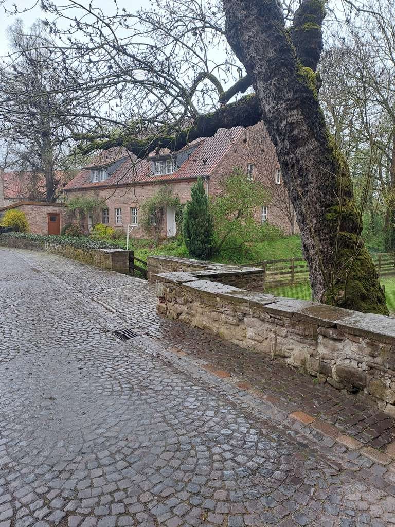 Immobilie in Altenhausen - Einzigartige Doppelhaushälfte im Schlosshof von Altenhausen - Bild 0