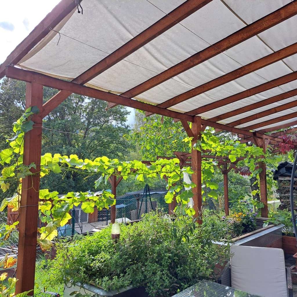 Immobilie in Mossautal - Autarkes Refugium für Selbstversorger & Prepper – Einzigartiges Anwesen mit 7.500 m² Naturgrundstück - Bild 4