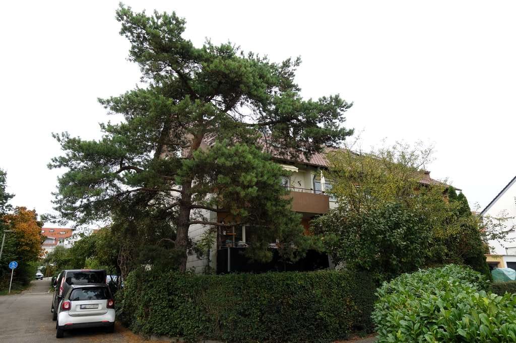 Immobilie in Aichtal - Ruhig gelegene 2-Zimmer-Wohnung im Dachgeschoss in Aichtal-Grötzingen - Bild 0