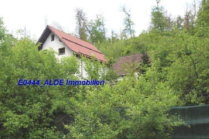 Immobilie in Südharz - Idyllische Familienresidenz & Investitionsobjekt für Fitness & Tourismus im Harz, Berge & Wald, großes Grundstück - Bild 3