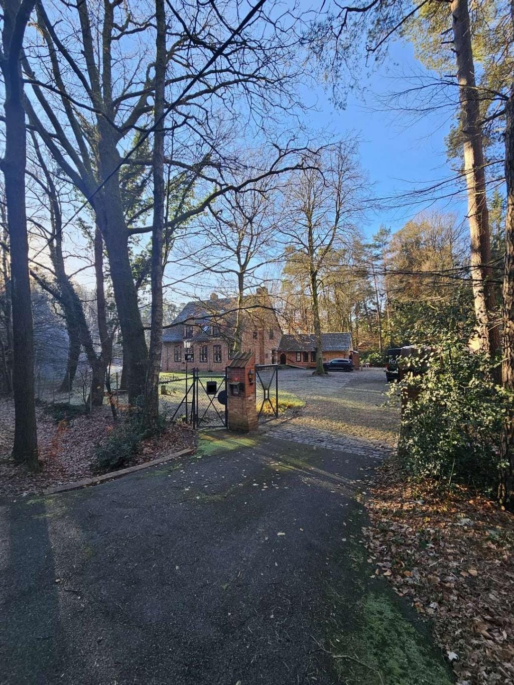 Immobilie in Eschede - - Provisionsfrei! - Modernisiertes Anwesen in Alleinlage - Bild 1