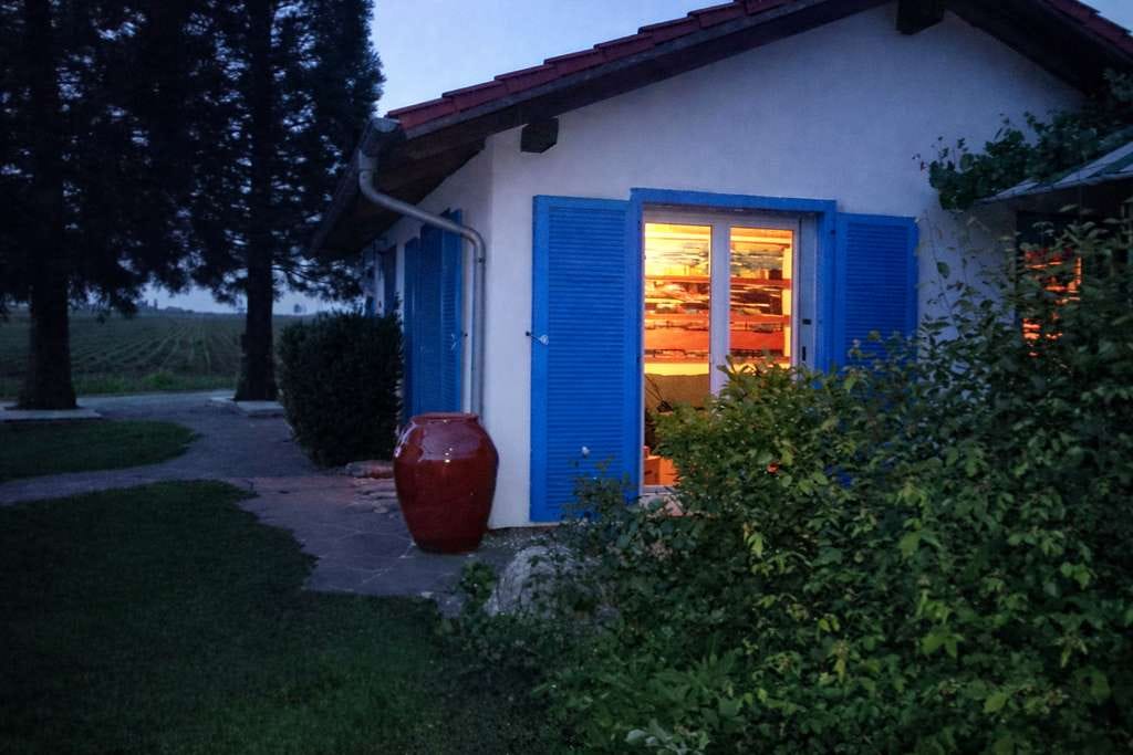 Immobilie in Neuenstein - Einfamilienhaus mit Schwimmteich, hohen Decken, Gartenhaus & naturnaher Lage direkt an den Feldern ! - Bild 3