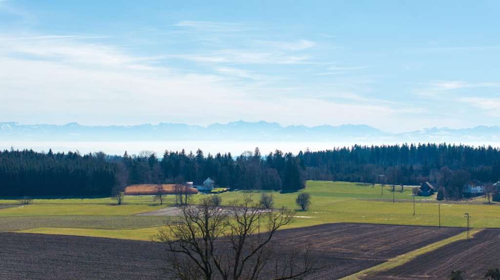Immobilie in Horgenzell - Bastler aufgepasst!! Anwesen mit Wohnhaus, Ökonomie und FeWo!
15 km von Ravensburg entfernt! - Bild 0