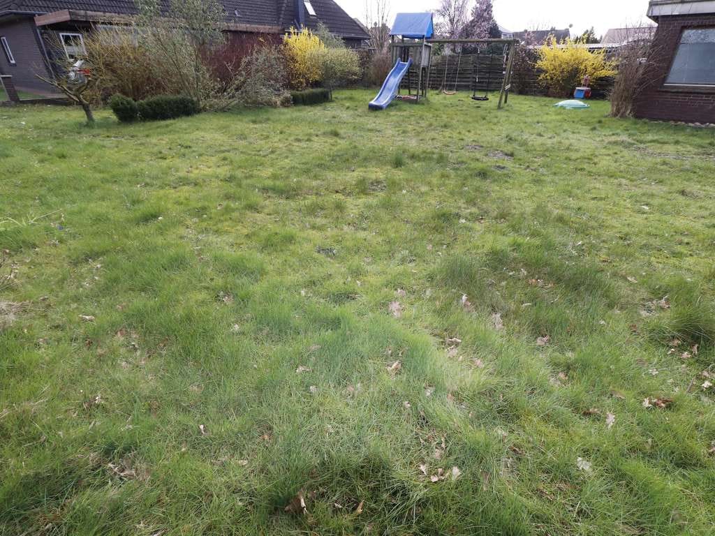 Immobilie in Saterland - Immobilie - zusätzliches Baugrundstück möglich - Bild 4