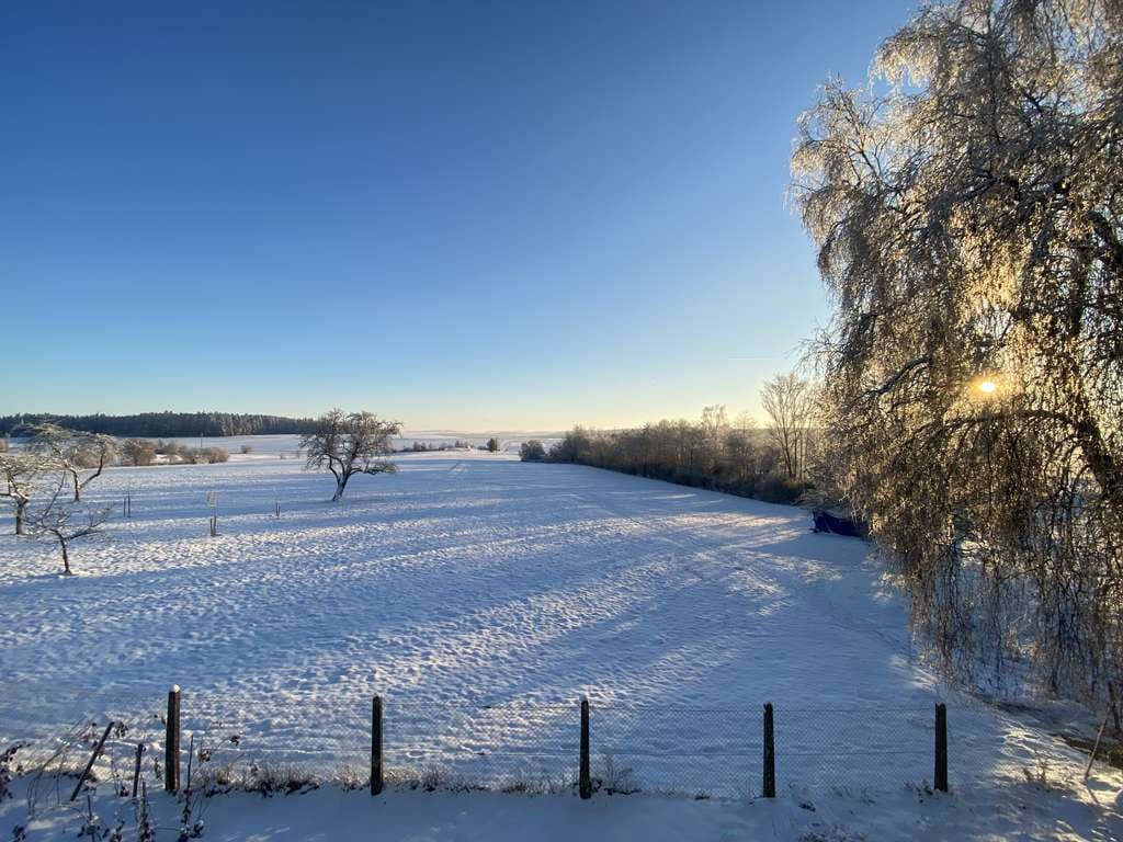 Immobilie in Mönchweiler - Beste Lage in Mönchweiler - Bild 1