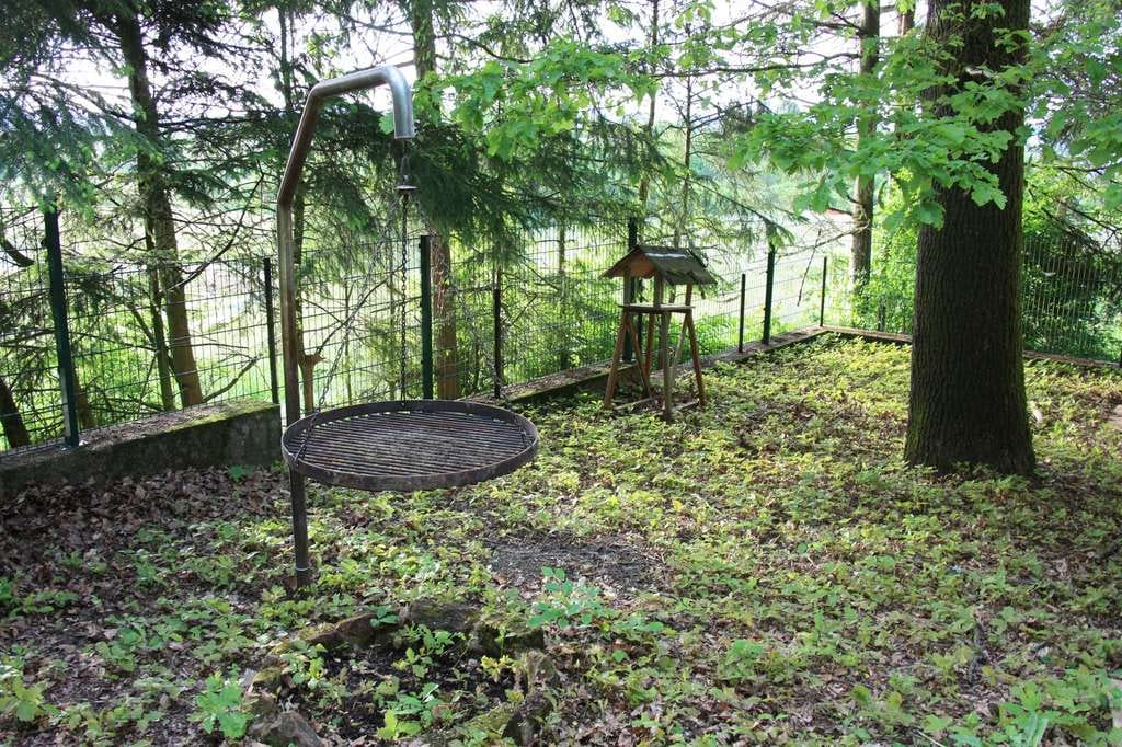 Immobilie in Schmelz - Waldhaus in Alleinlage - Bild 3