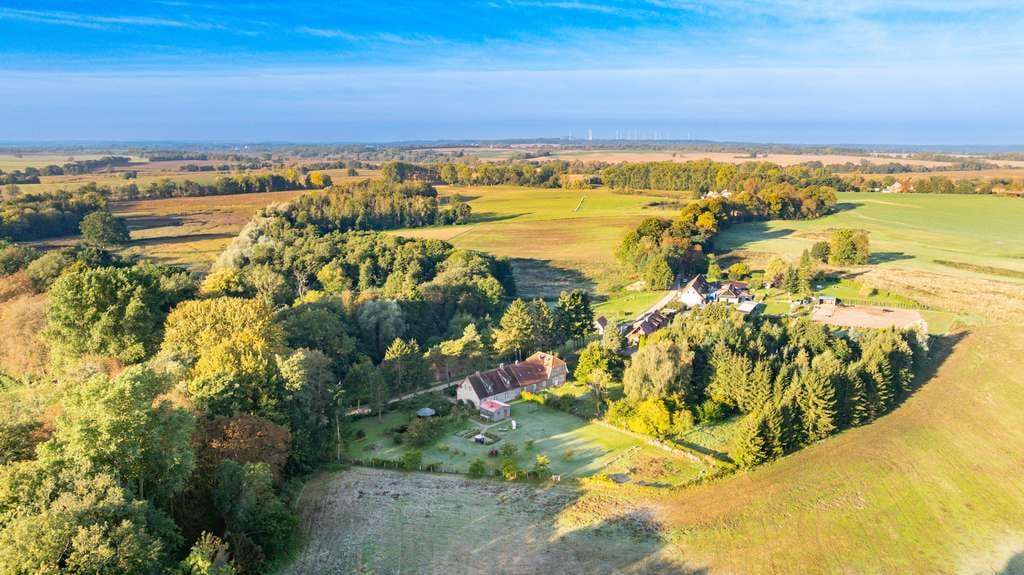 Immobilie in Dassow - Ein Haus mit Seele- Historischer Charme trifft modernen Wohnkomfort mit idyllischer Lage - Bild 3