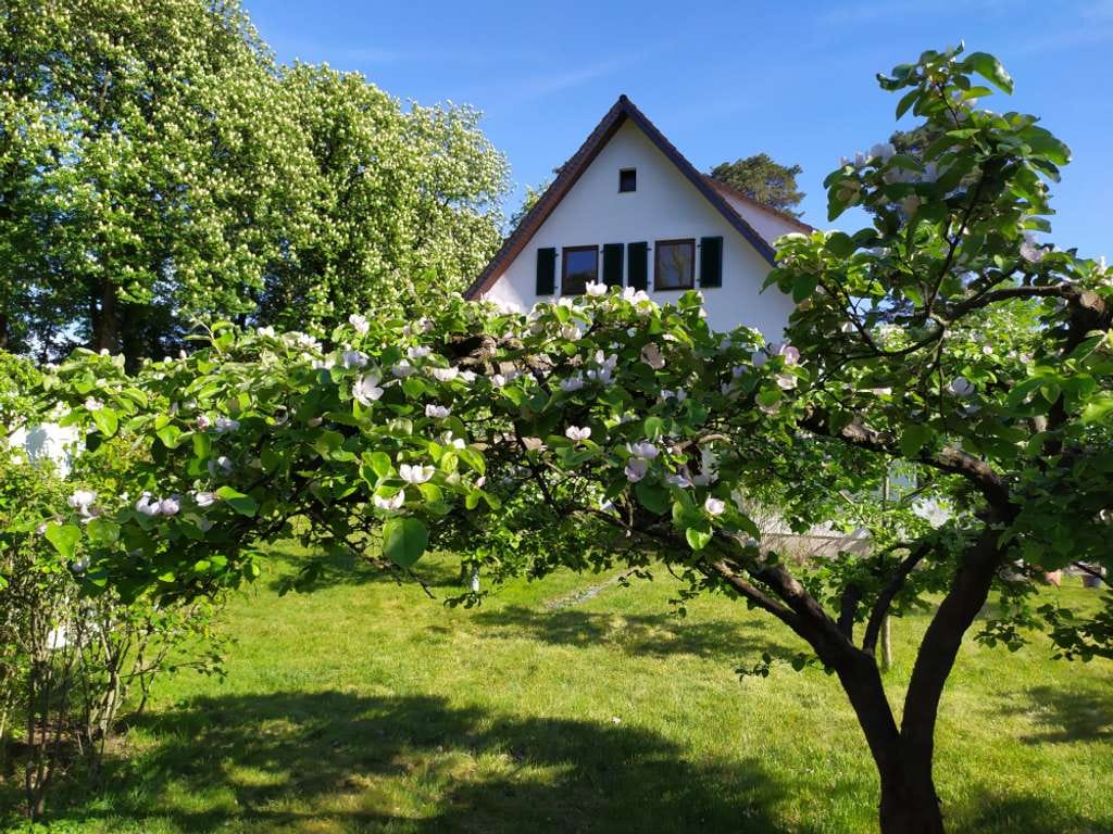 Immobilie in Bad Lippspringe - Großzügiges Einfamilienhaus auf großem Obstgrundstück in bester Lage9 Zimmern in Bad Lippspringe - Bild 0