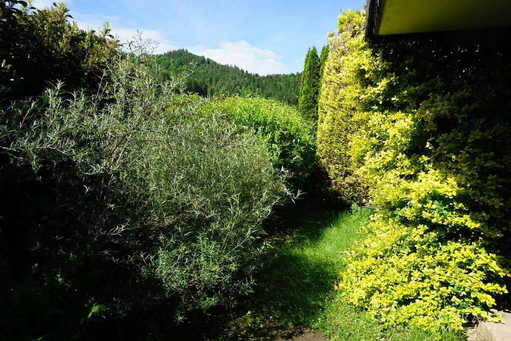 Immobilie in Schiltach - Wohnhaus mit herrlicher Aussicht in Schiltach-Vorderlehengericht - Bild 2