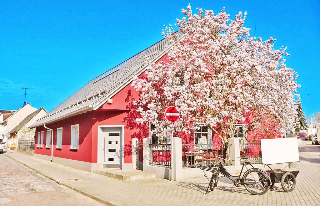 Immobilie in Coswig (Anhalt) - interessantes Wohnhaus mit besonderem Flair in Coswig / Anhalt - Bild 0