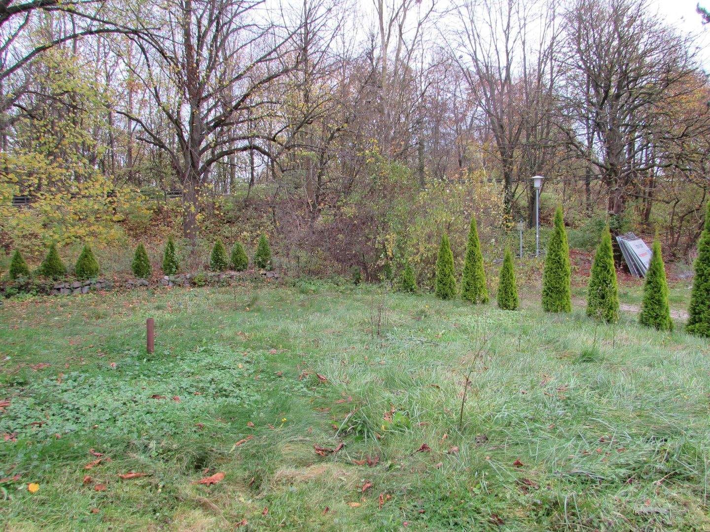 Immobilie in Bredenbek - Familiengerechtes Reetdachhaus vor den Toren Kiels - Bild 4