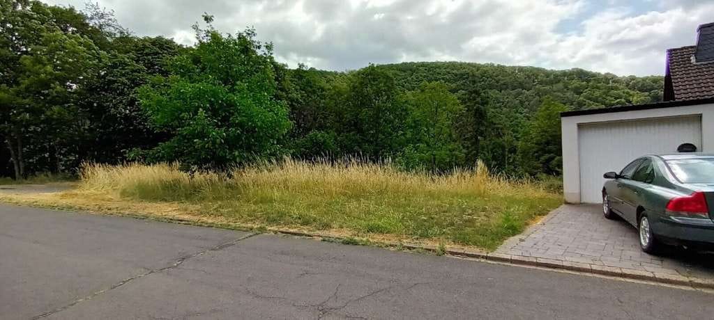 Immobilie in Ammeldingen bei Neuerburg - Arbeiten in Luxemburg und wohnen in der schönen Eifel! - Bild 3